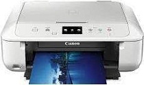 Canon PIXMA MG6870-stuurprogramma