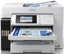 Epson EcoTank L15160-stuurprogramma