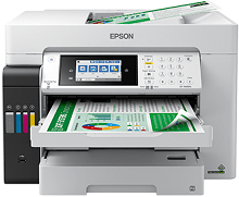 Stuurprogramma voor Epson EcoTank Pro ET-16600